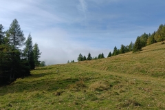 IMG20211002115516