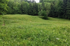 IMG20220528141653
