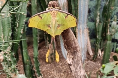 IMG20220813110941