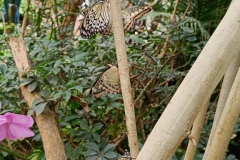 IMG20220813111353