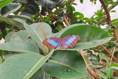 IMG20220813113445
