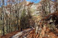 IMG20221030131739