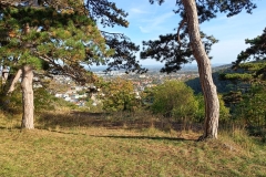 IMG20221009154811