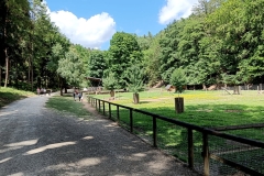 IMG20220709141340