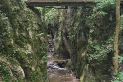 IMG20220617131831