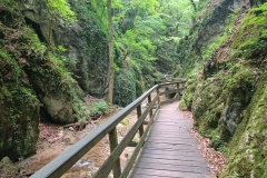 IMG20220617132817