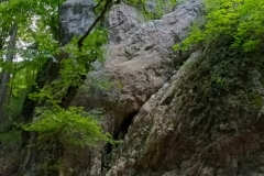 IMG20220617134208