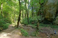 IMG20220617134341