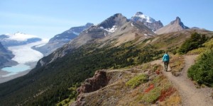 Jasper NP – Parker Ridge Trail
