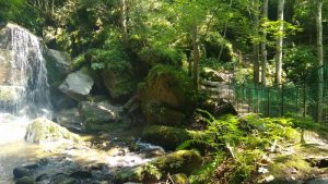 Liebenfels – Abenteuer Wasser Weg